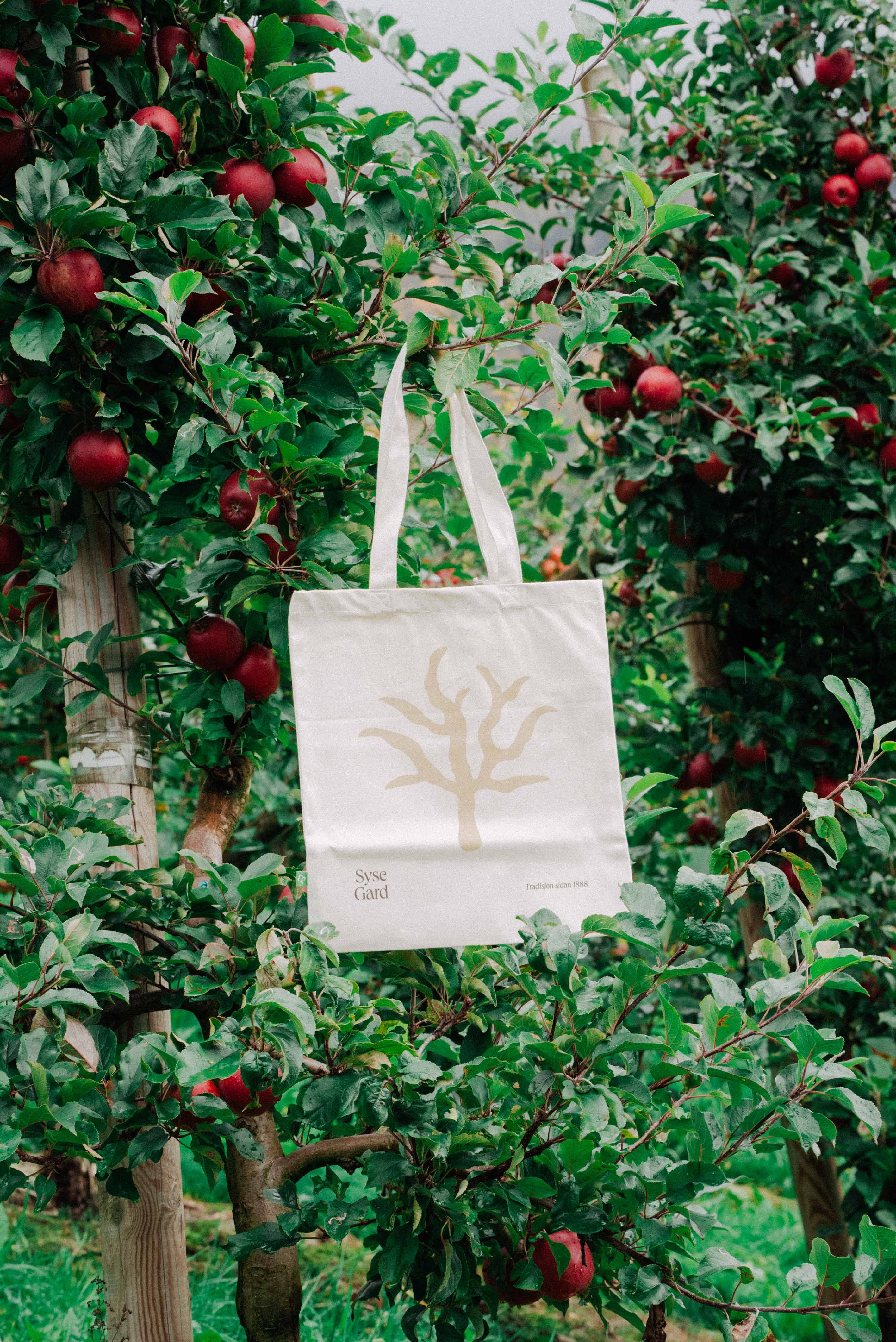Tote bag from Syse Gard hanging among the apple trees in the orchard.