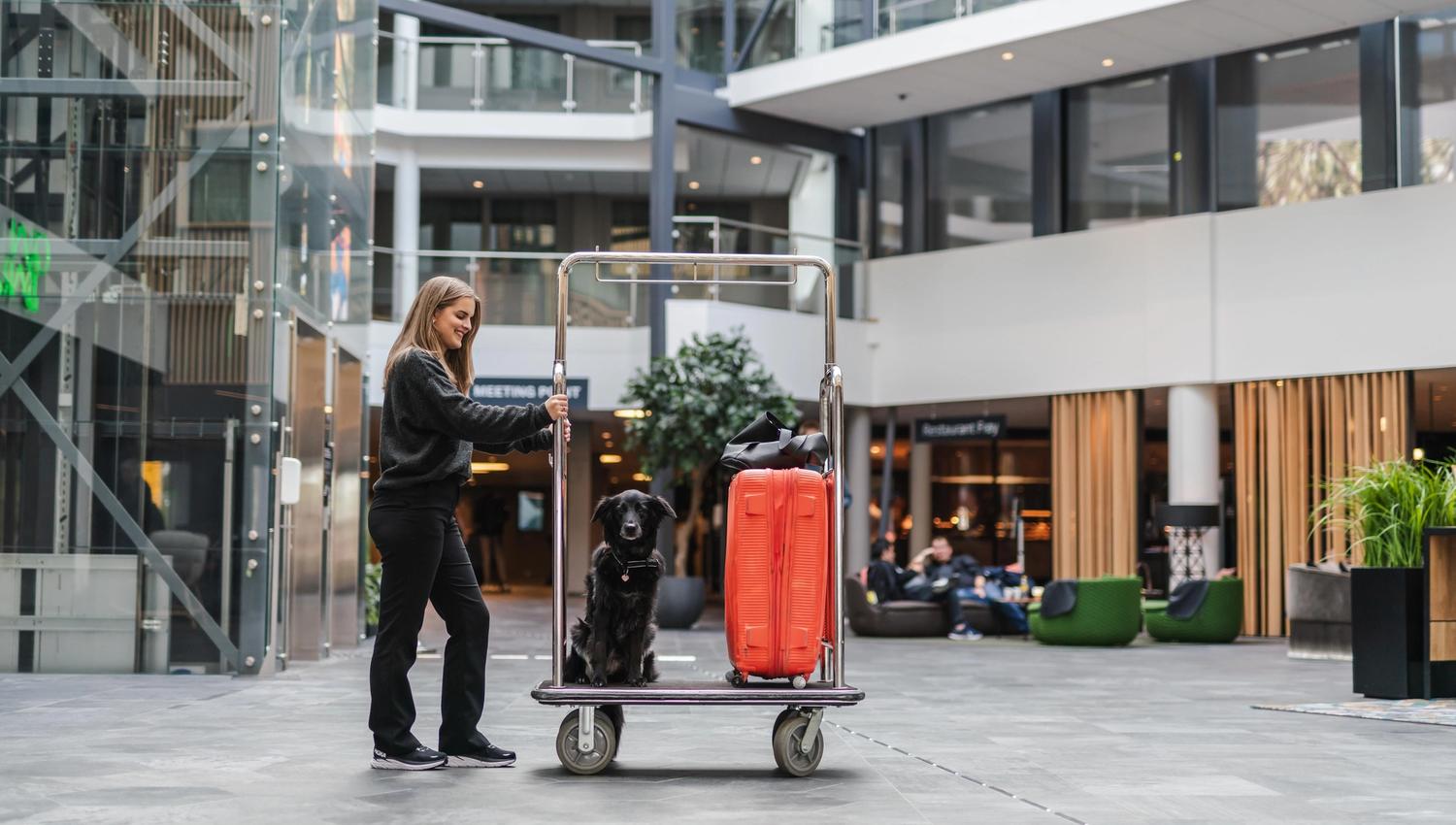 Dog-lobby-lagguage-quality-hotel-quality-airport-hotel-gardermoen-low (1)