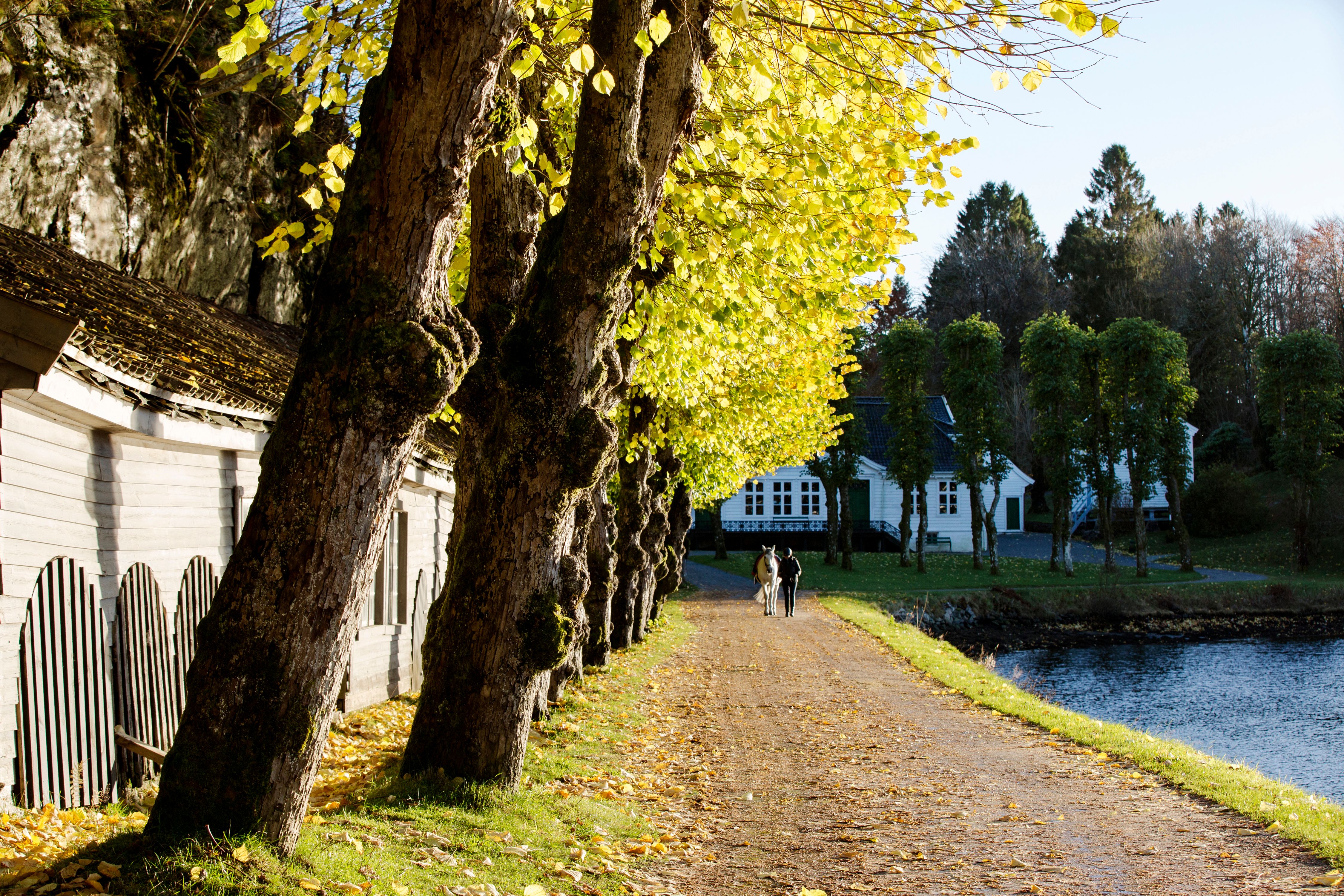 Alvøen Hovedbygning - Bymuseet i Bergen