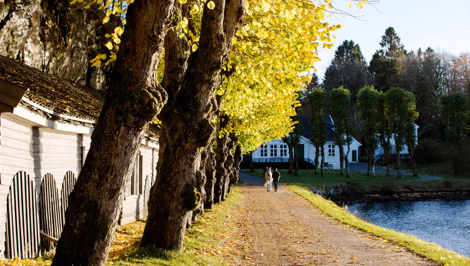Alvøen Hovedbygning - Bymuseet i Bergen