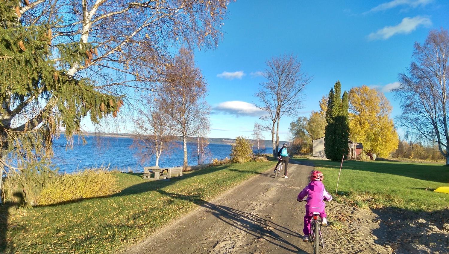 Sykkelsti ved Evjua Strandpark