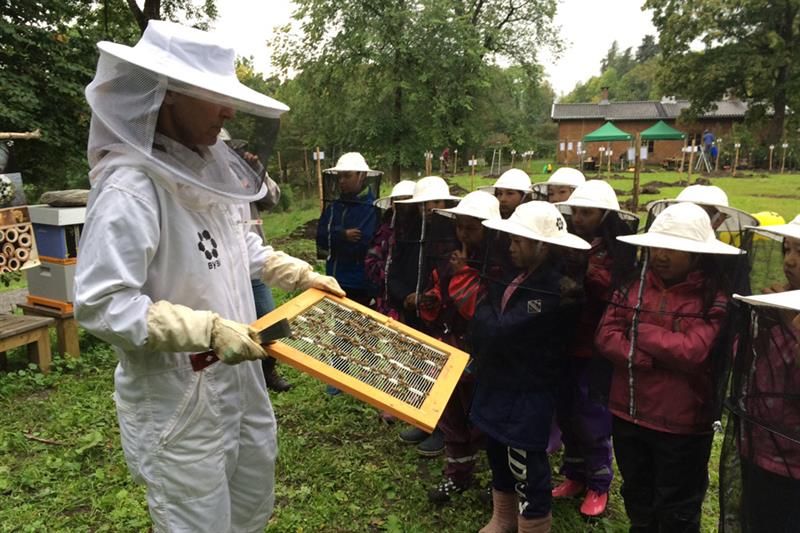 beekeeper at Bygdø Kongsgård. Photo