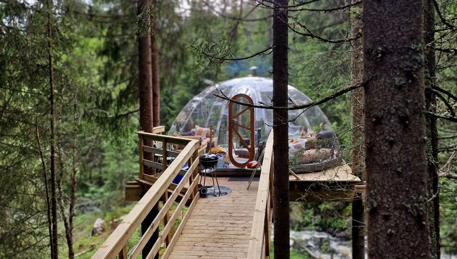 Tretoppiglo ved Lårdalselva i Dalen