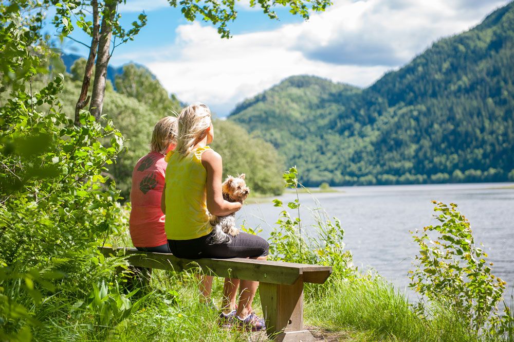 2 ladies with a small dog sit on a bench and look out over the water