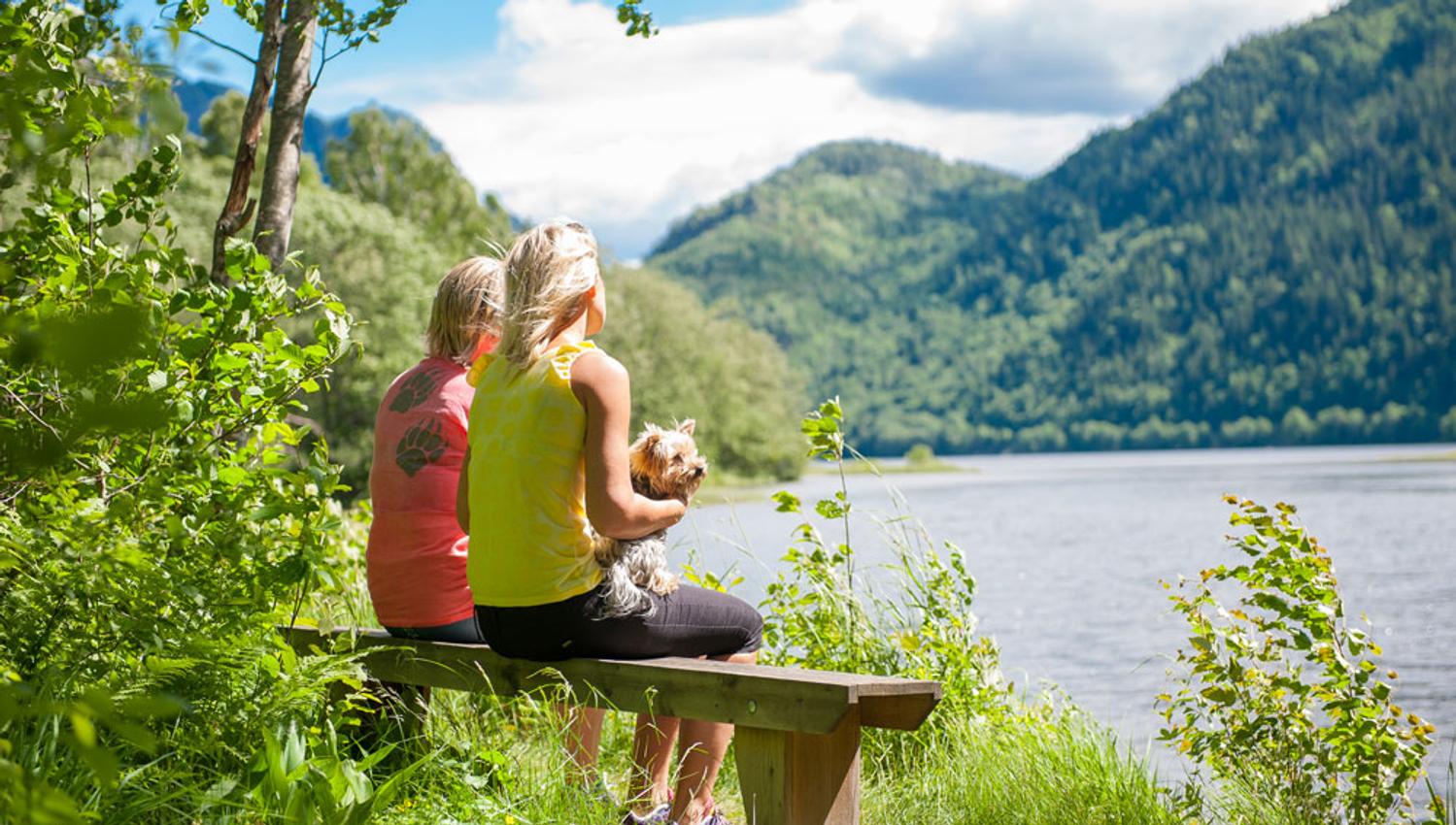 2 ladies with a small dog sit on a bench and look out over the water
