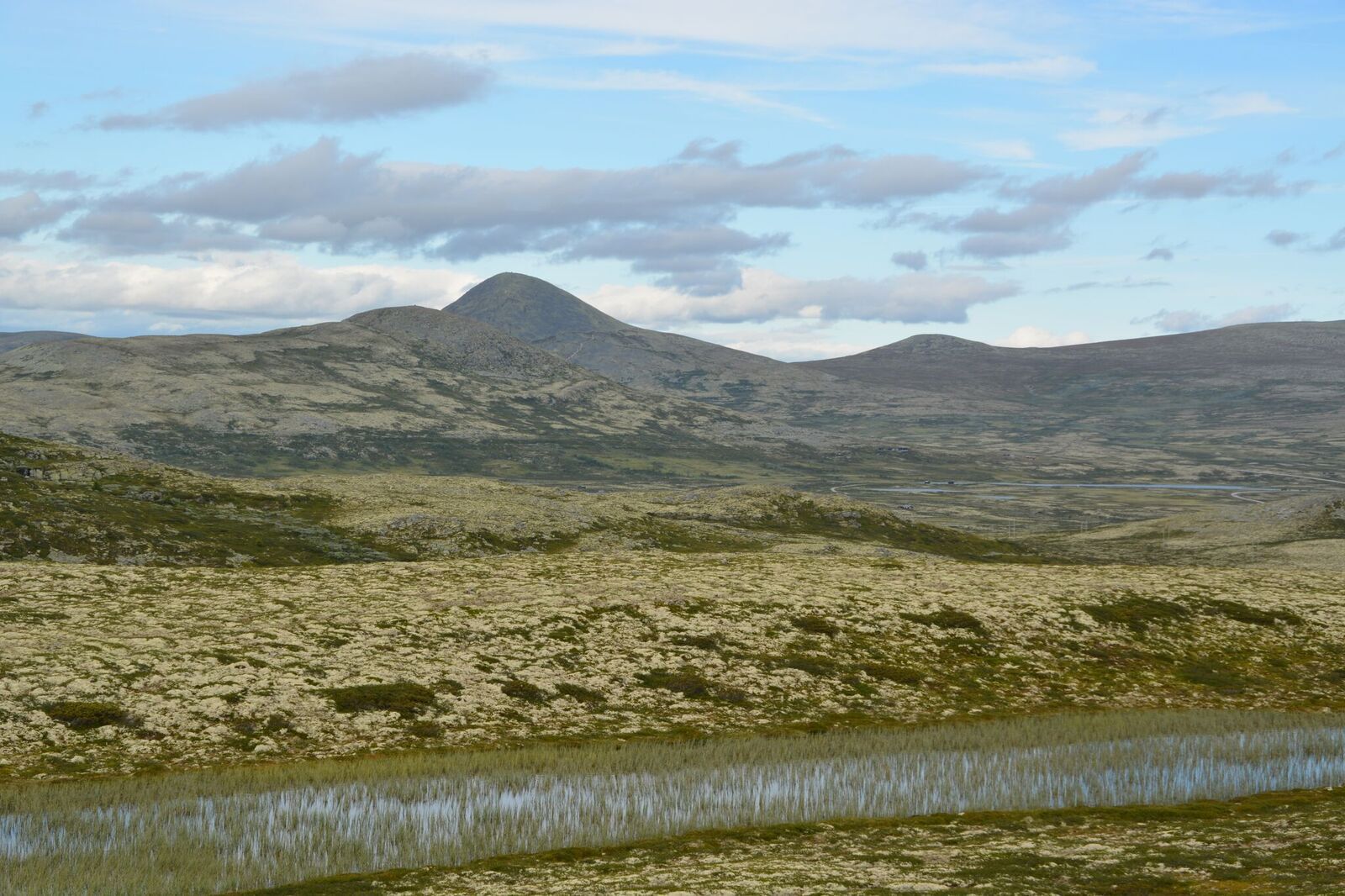 Flaksjølihøgda