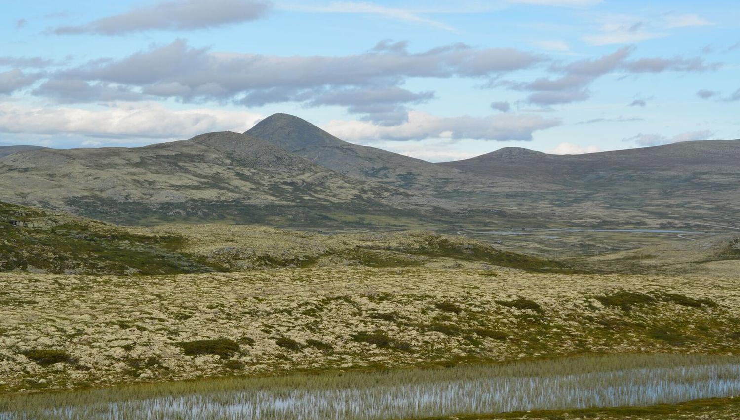 Flaksjølihøgda