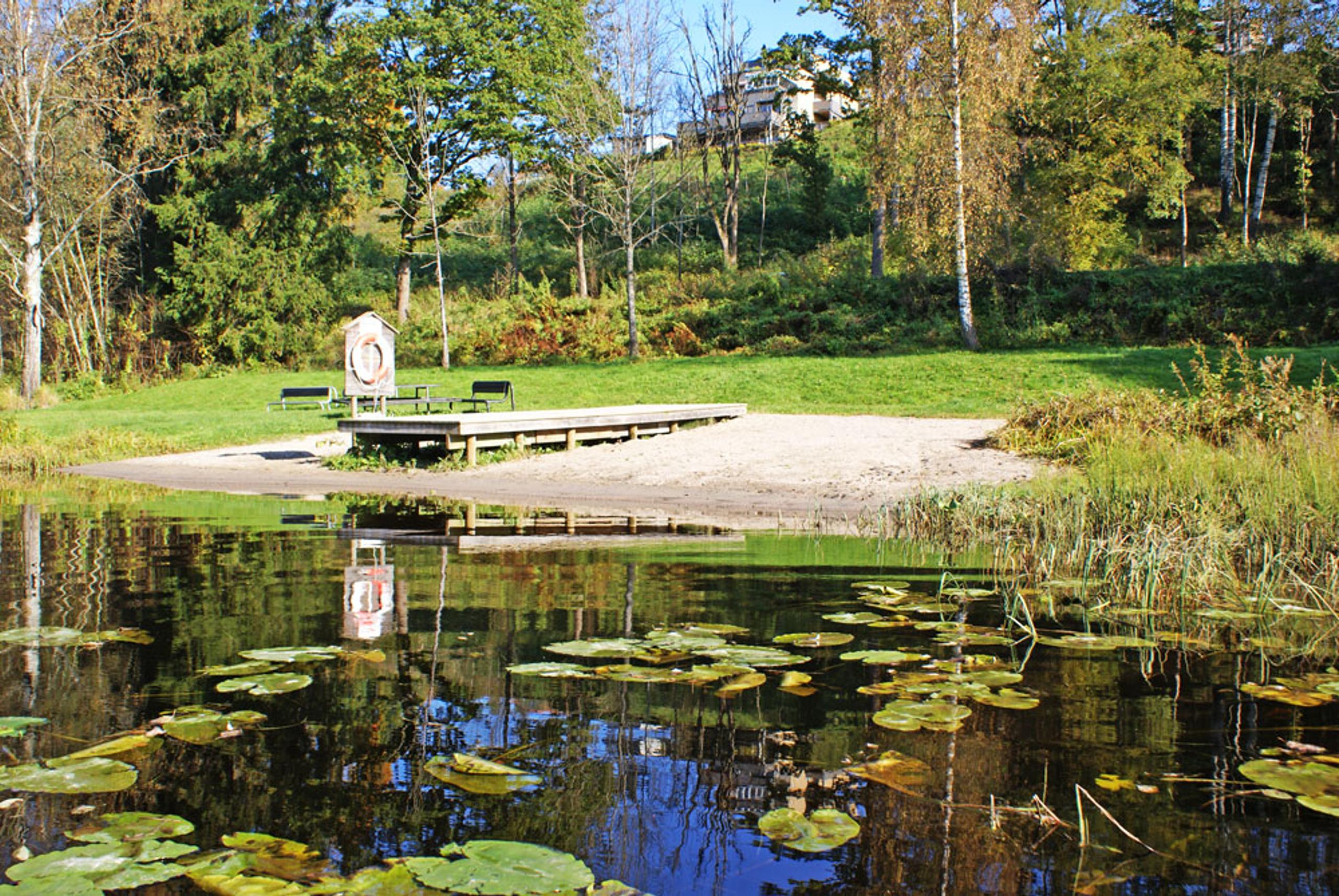 Falkumlia badeplass med sandstrand og brygge