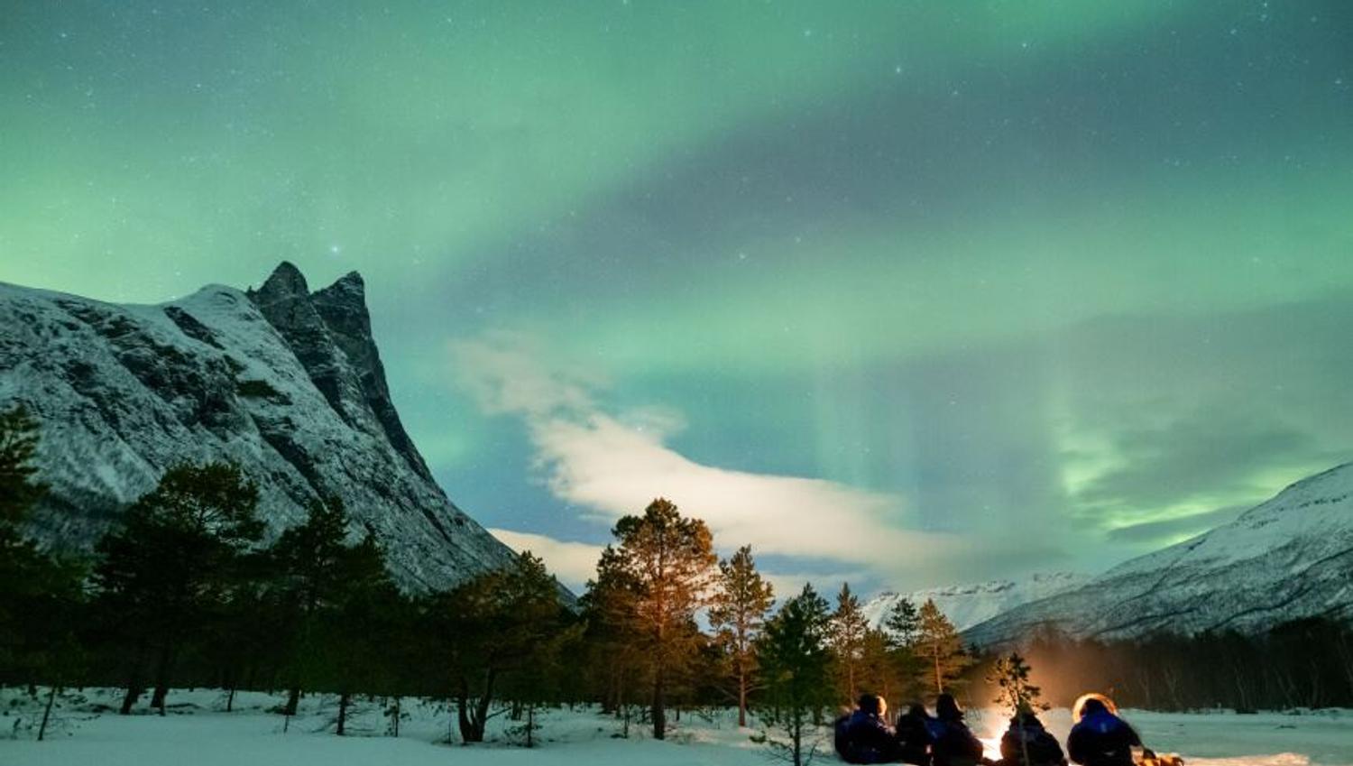 Campfire under northern lights