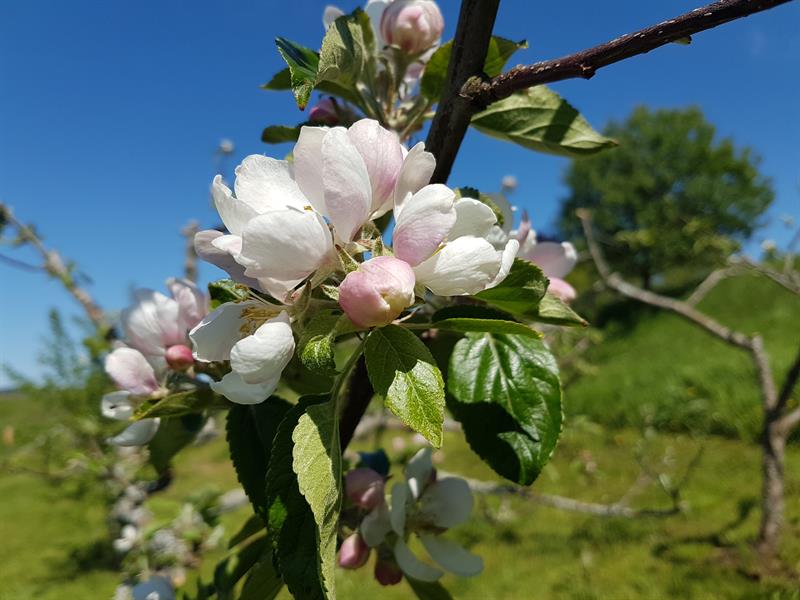 Opplev naturen