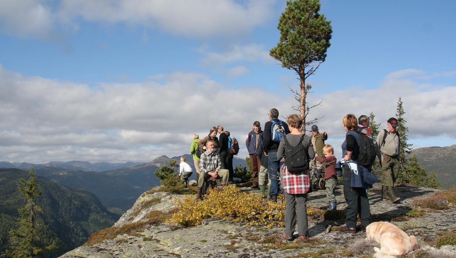 Visåsen