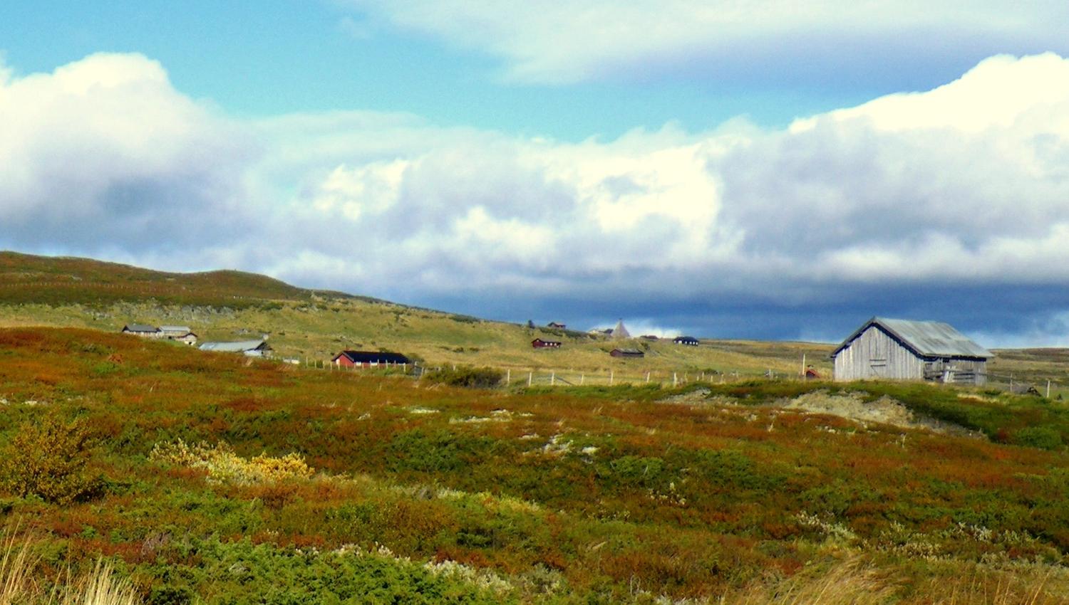 høstdag på Trettestølen