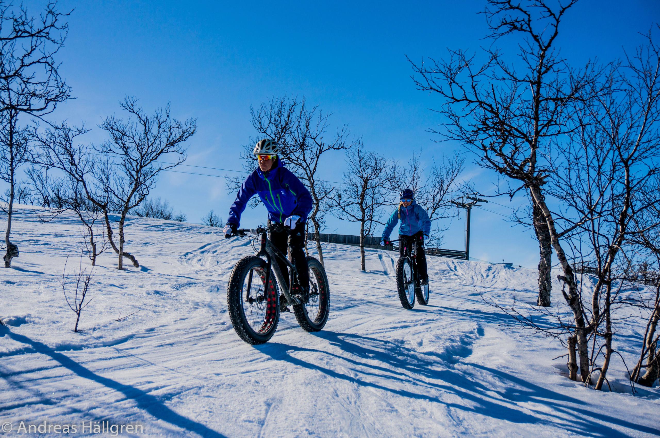 fatbike