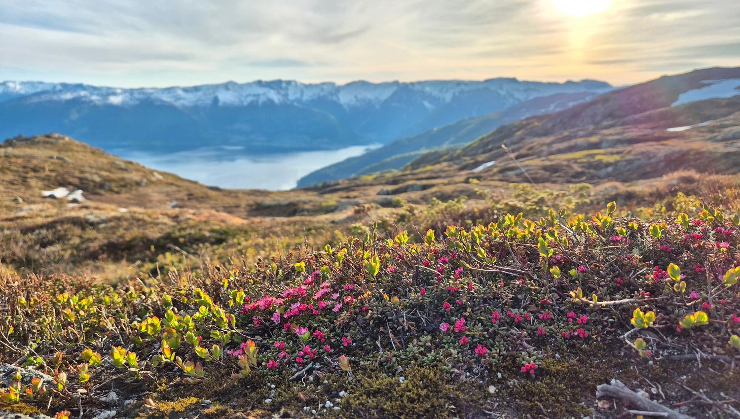 Mælen, Leikanger