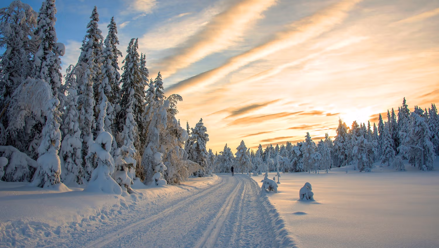 Skiløyper i Nordmarka nord