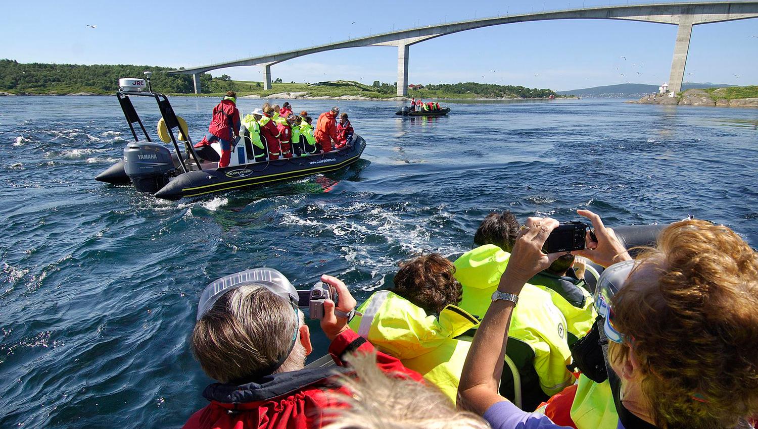 Den ultimate Saltstraumen-opplevelsen!