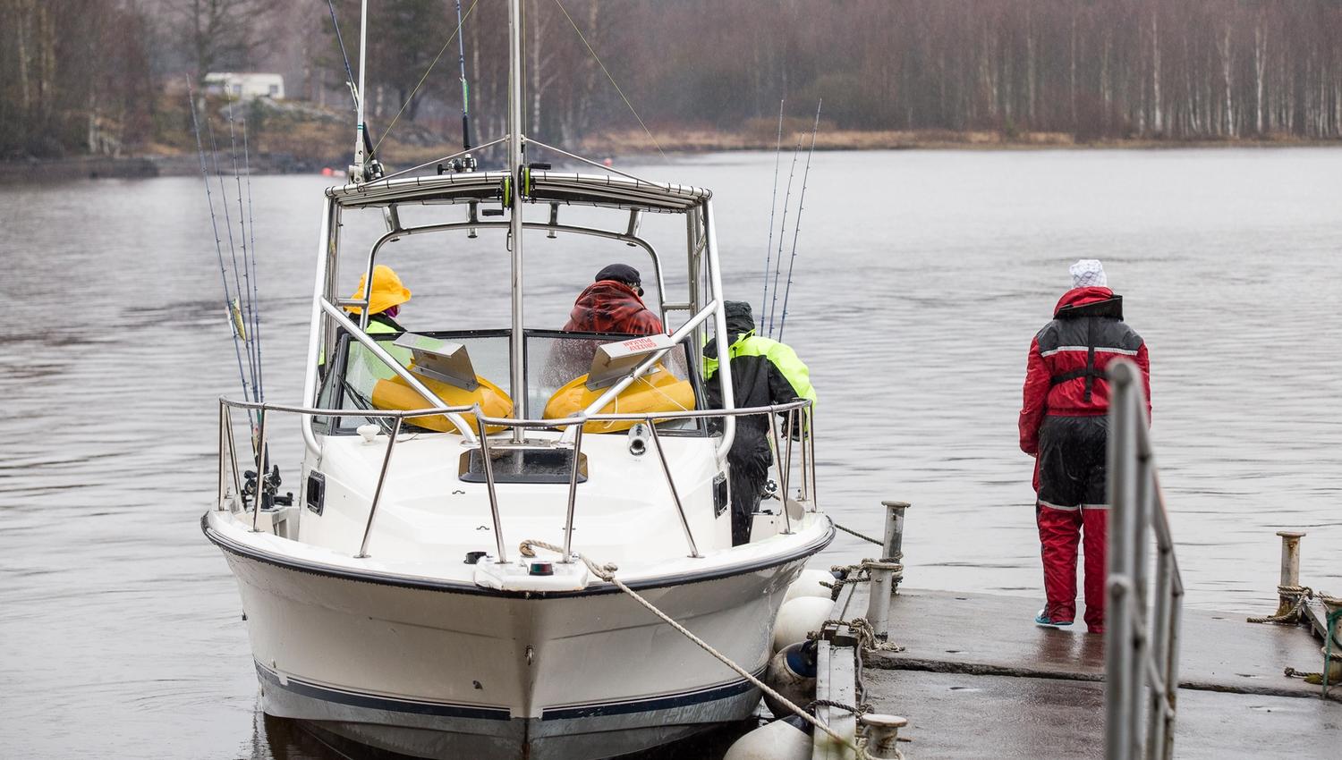 Fiskebåt til kai