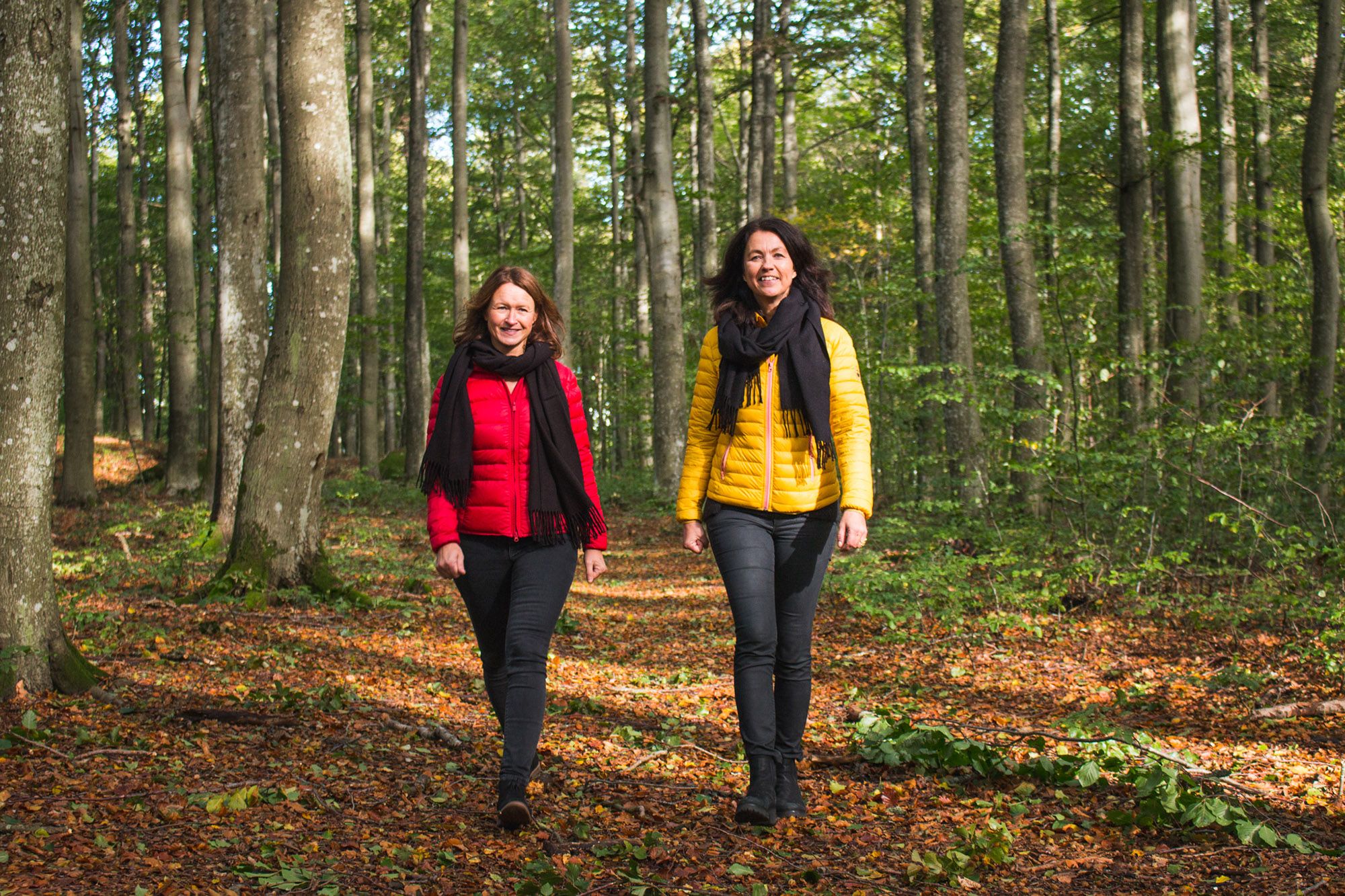 to ladies walking in the beech forest in autumn