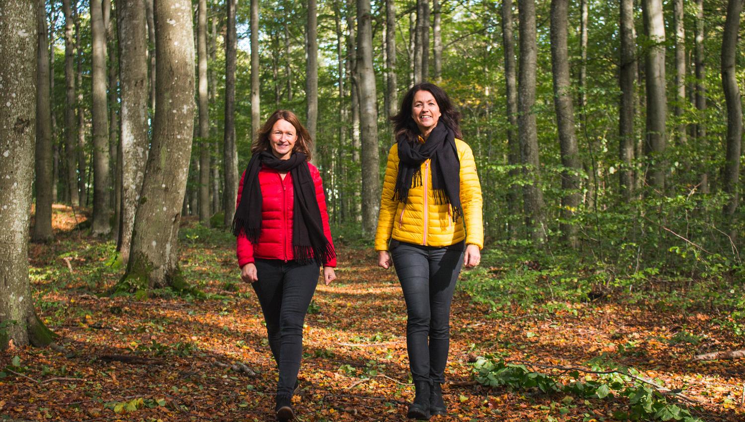 to ladies walking in the beech forest in autumn