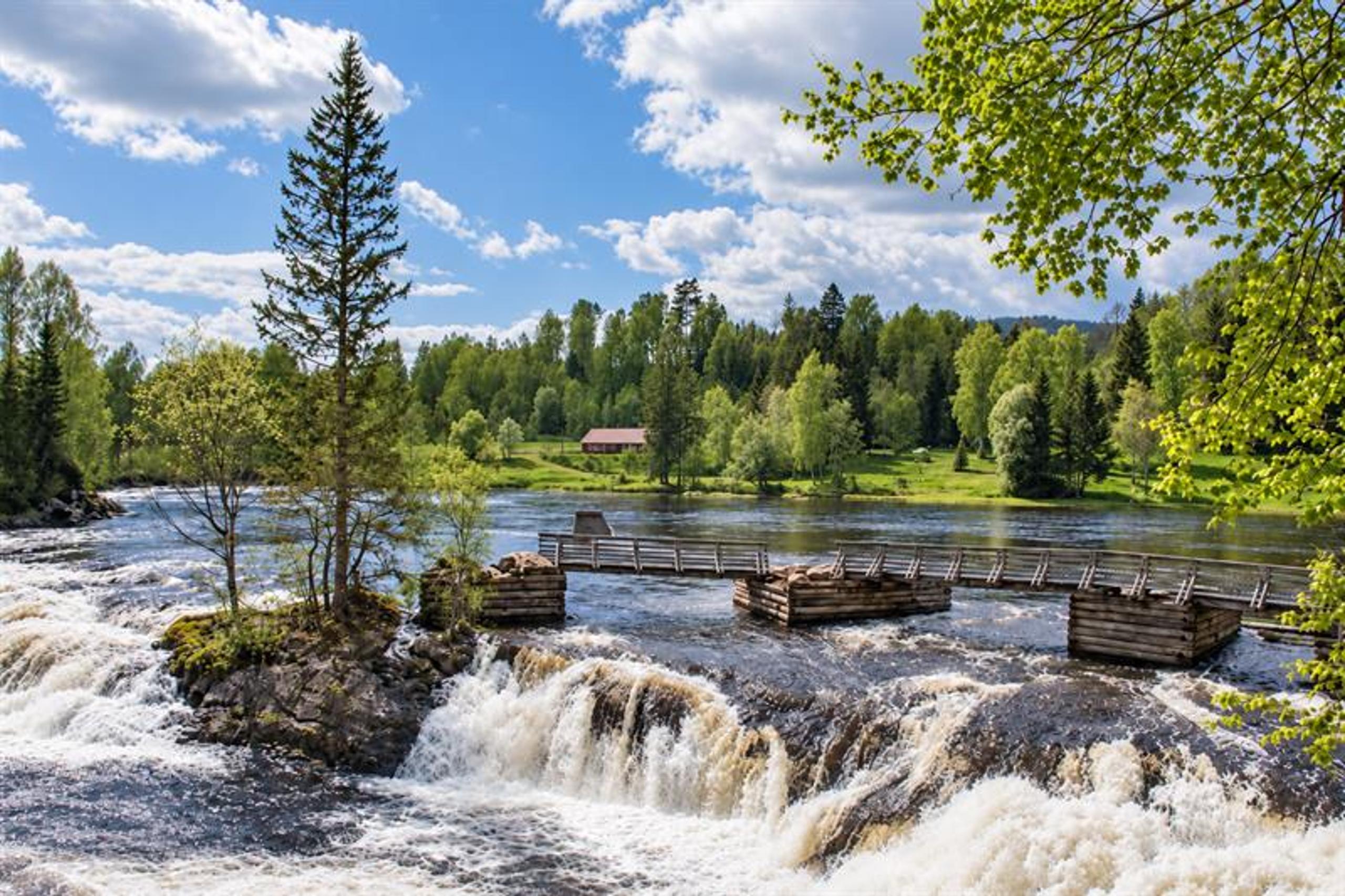 Fossende vann i Numedalslågen ved Kjærra, med gamle fiskeinnretninger og frodige trær langs bredden.