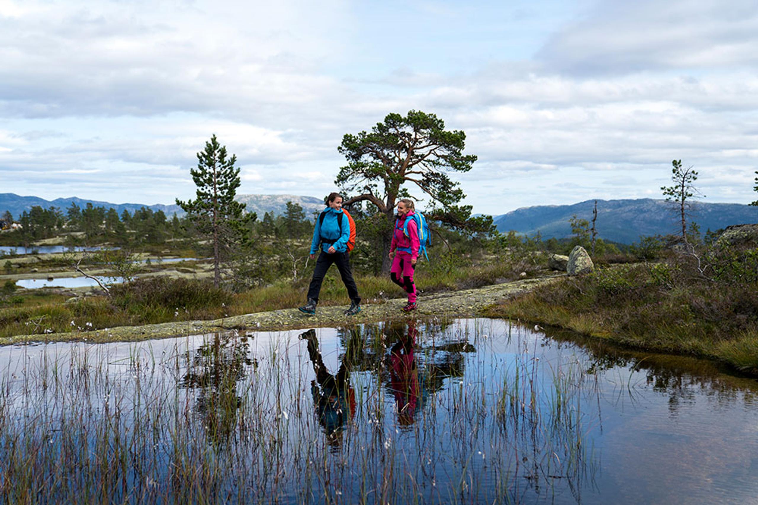 hægefjell foto yngve ask_web