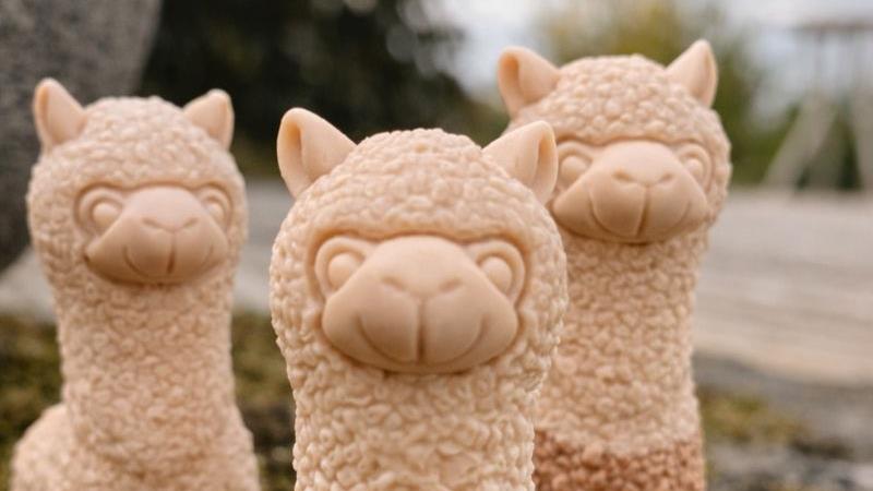 Alpacas from the shop