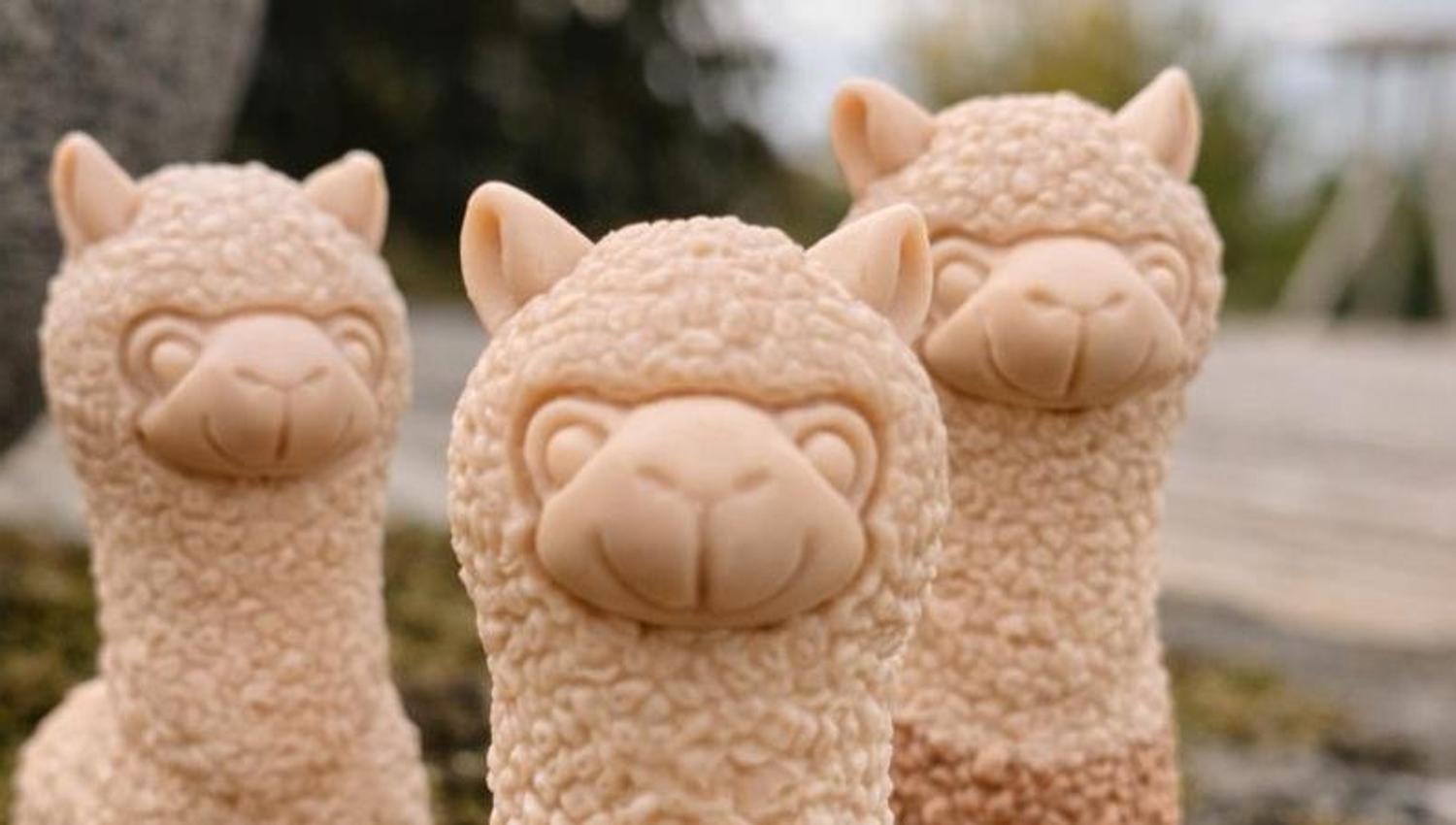 Alpacas from the shop