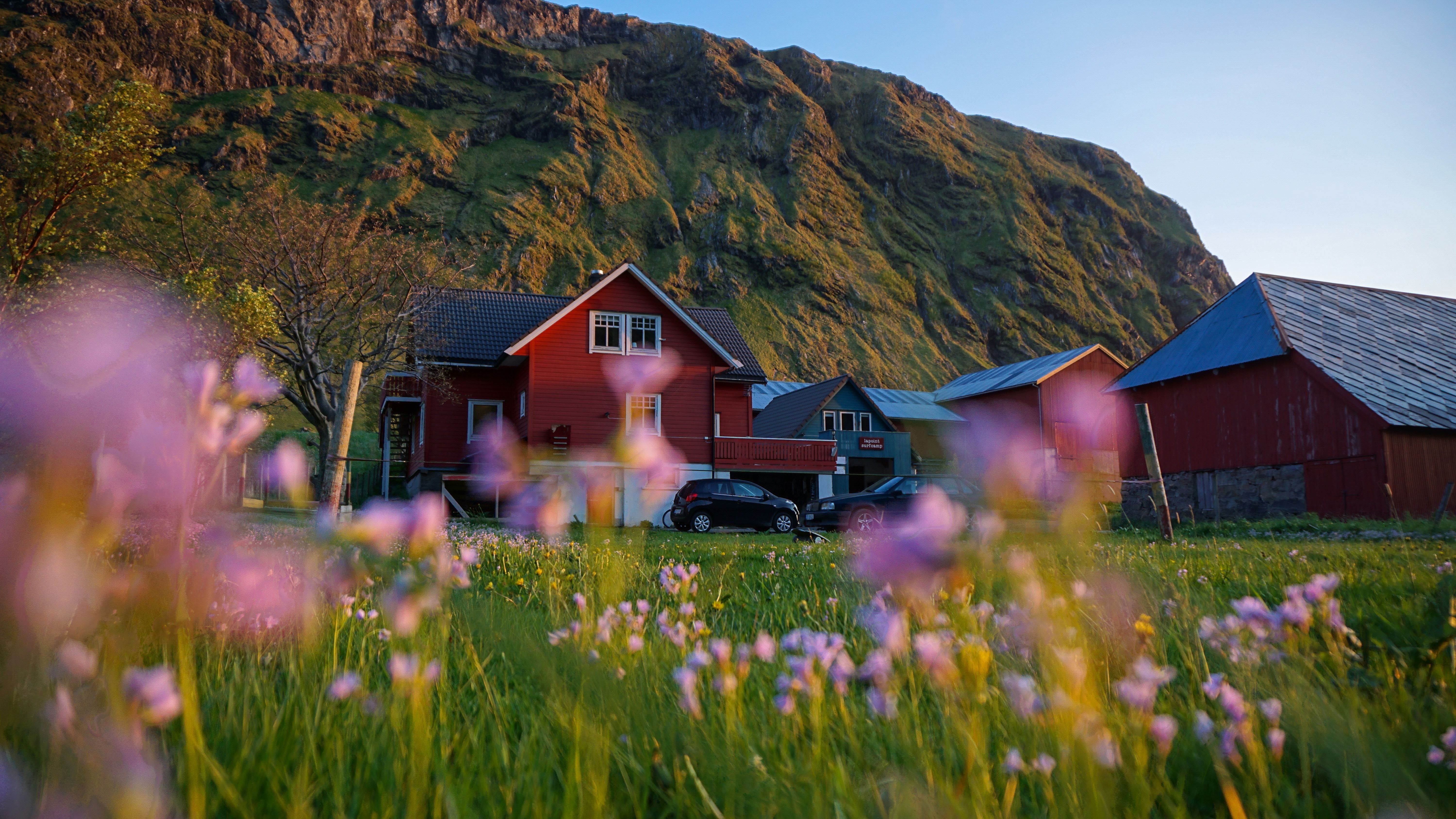 Pink wildflowers blur in the foreground, with red farm buildings and parked cars beneath a sunlit green mountain.