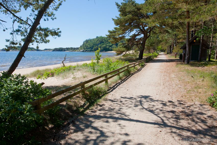 Path along Sjøstranden