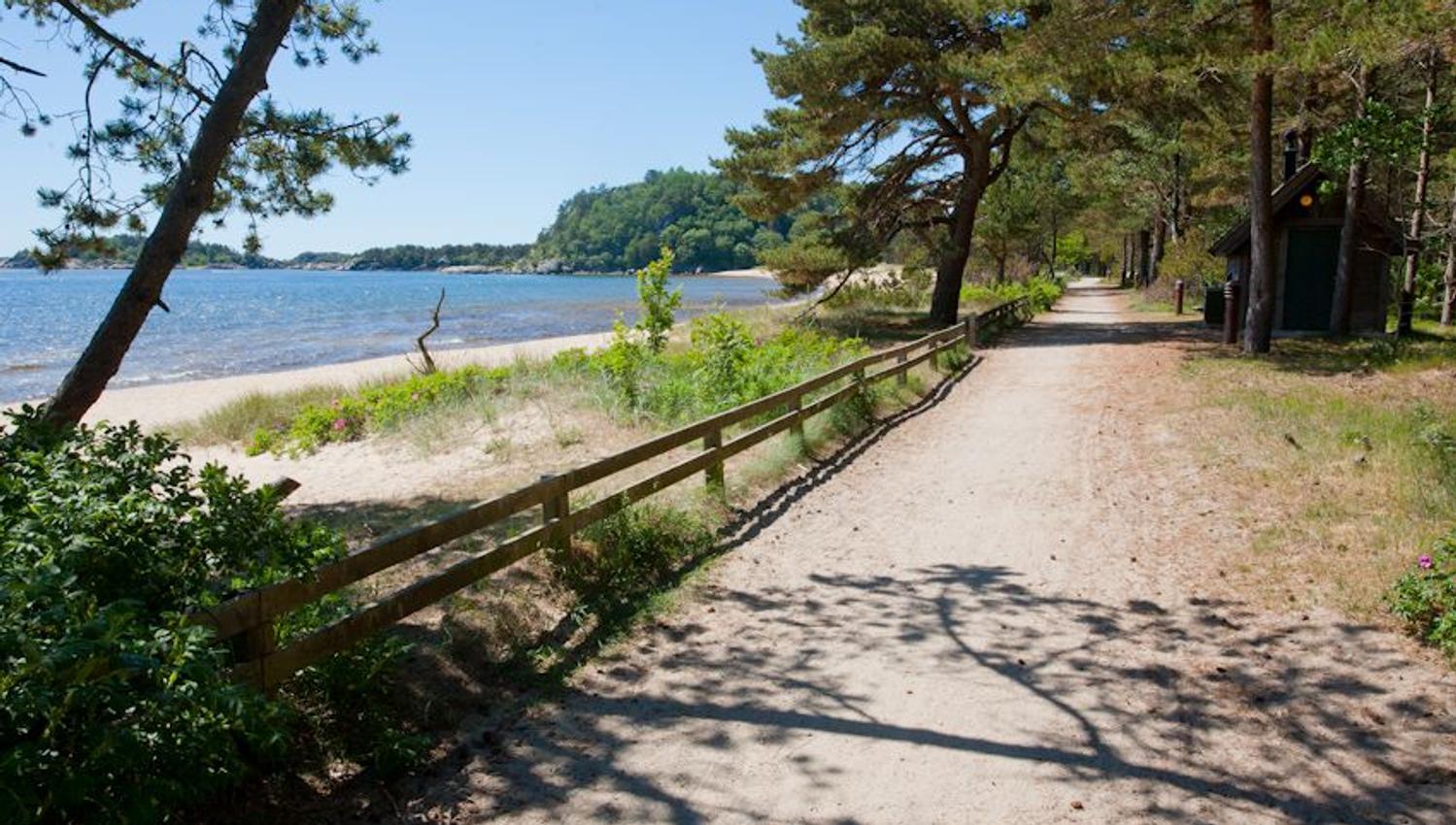 Path along Sjøstranden
