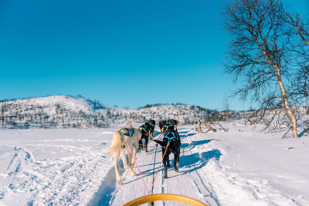 på tur med Haukeli Husky