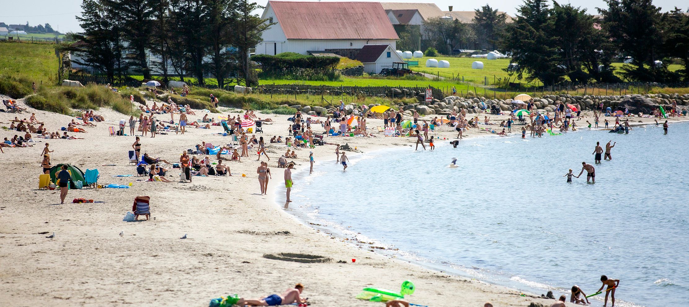 At the beach on a sunny day.