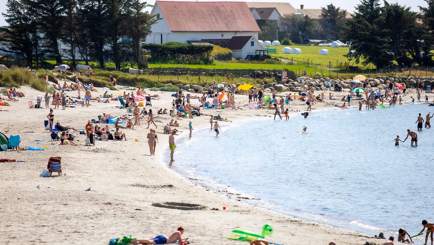 At the beach on a sunny day.