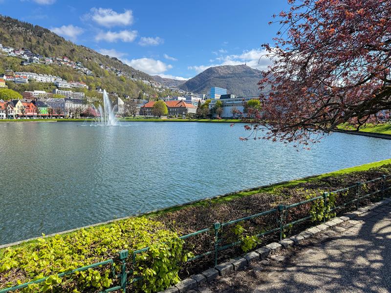 Martin´s City Walking Tour