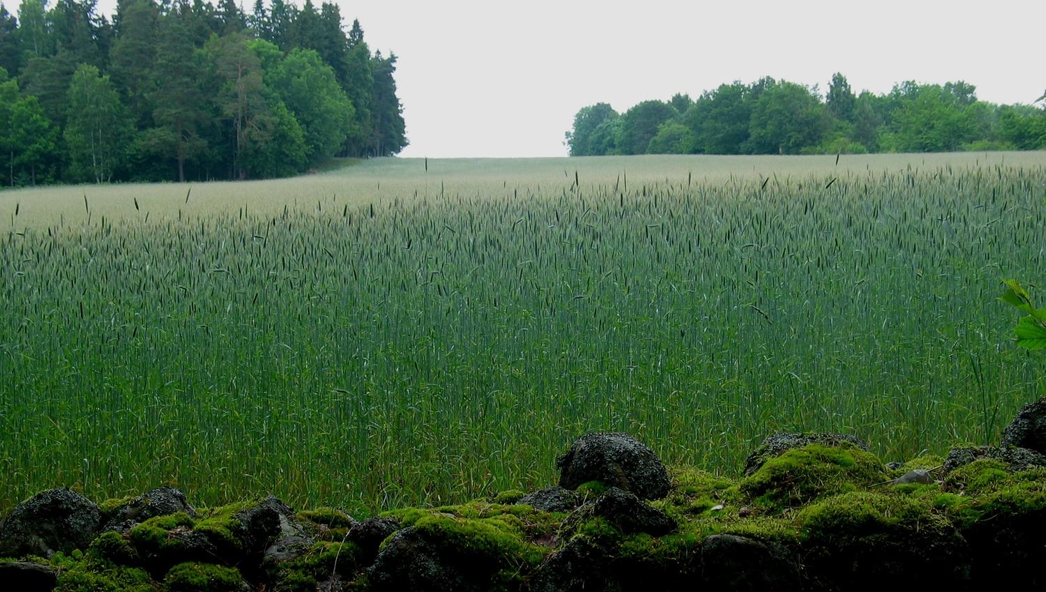 Kulturlandskap Søndre Jeløy