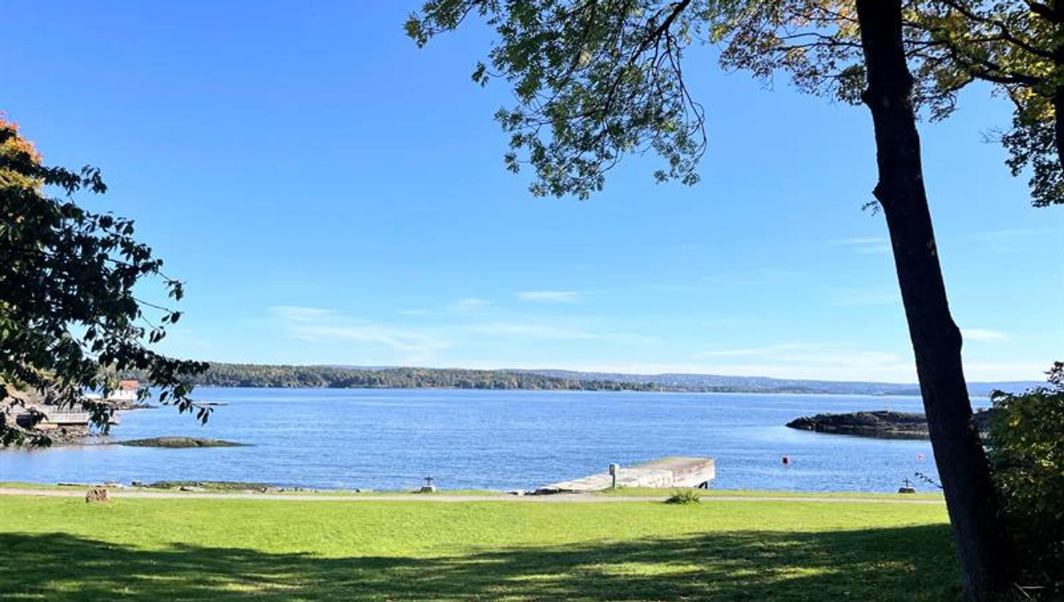 Green beach and blue fjord