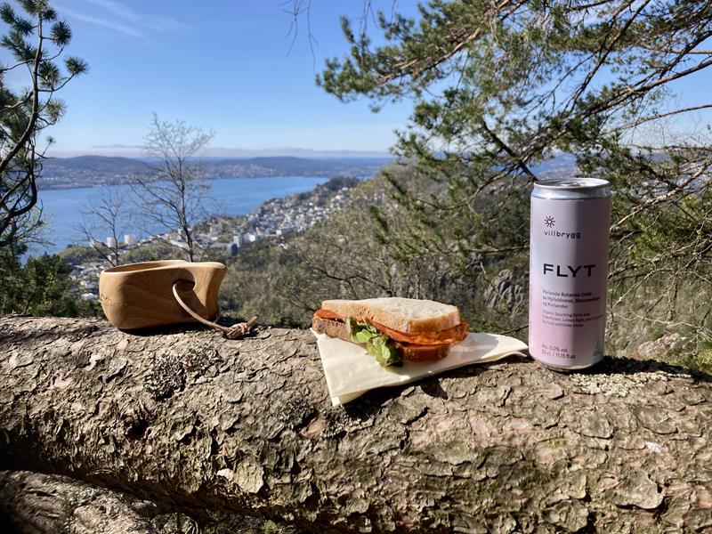 Guided mountain hike in Bergen including lunch