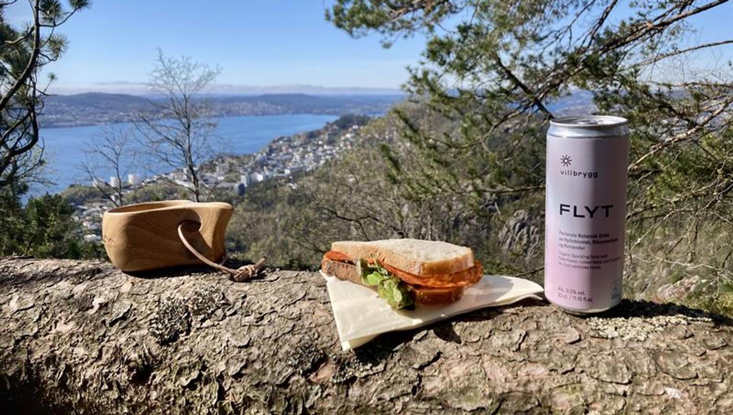 Guided mountain hike in Bergen including lunch