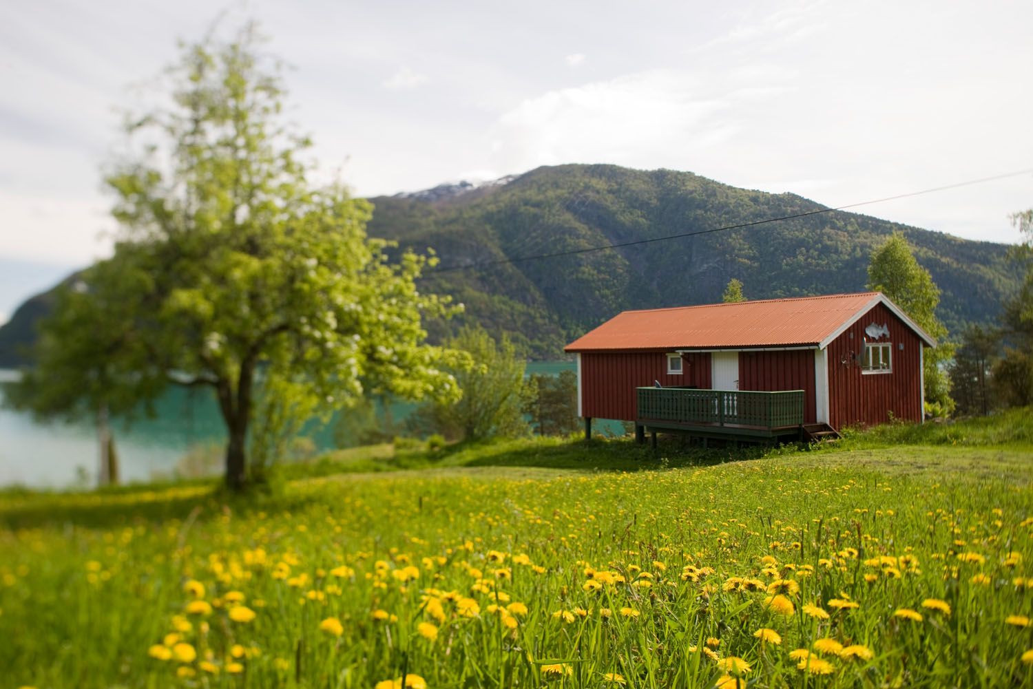 Dragsvik Cabins