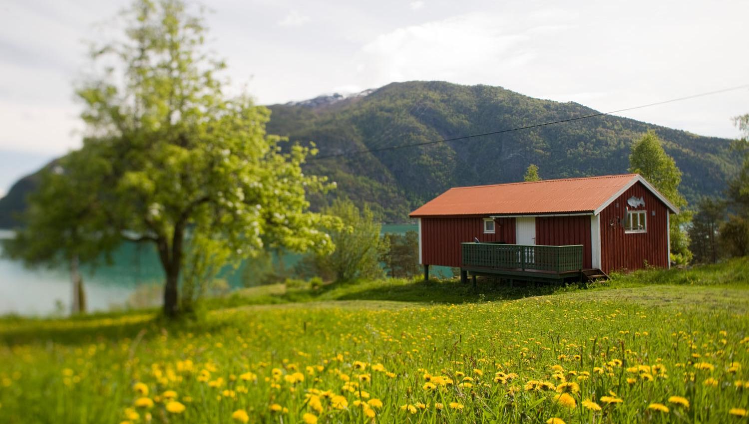 Dragsvik Cabins