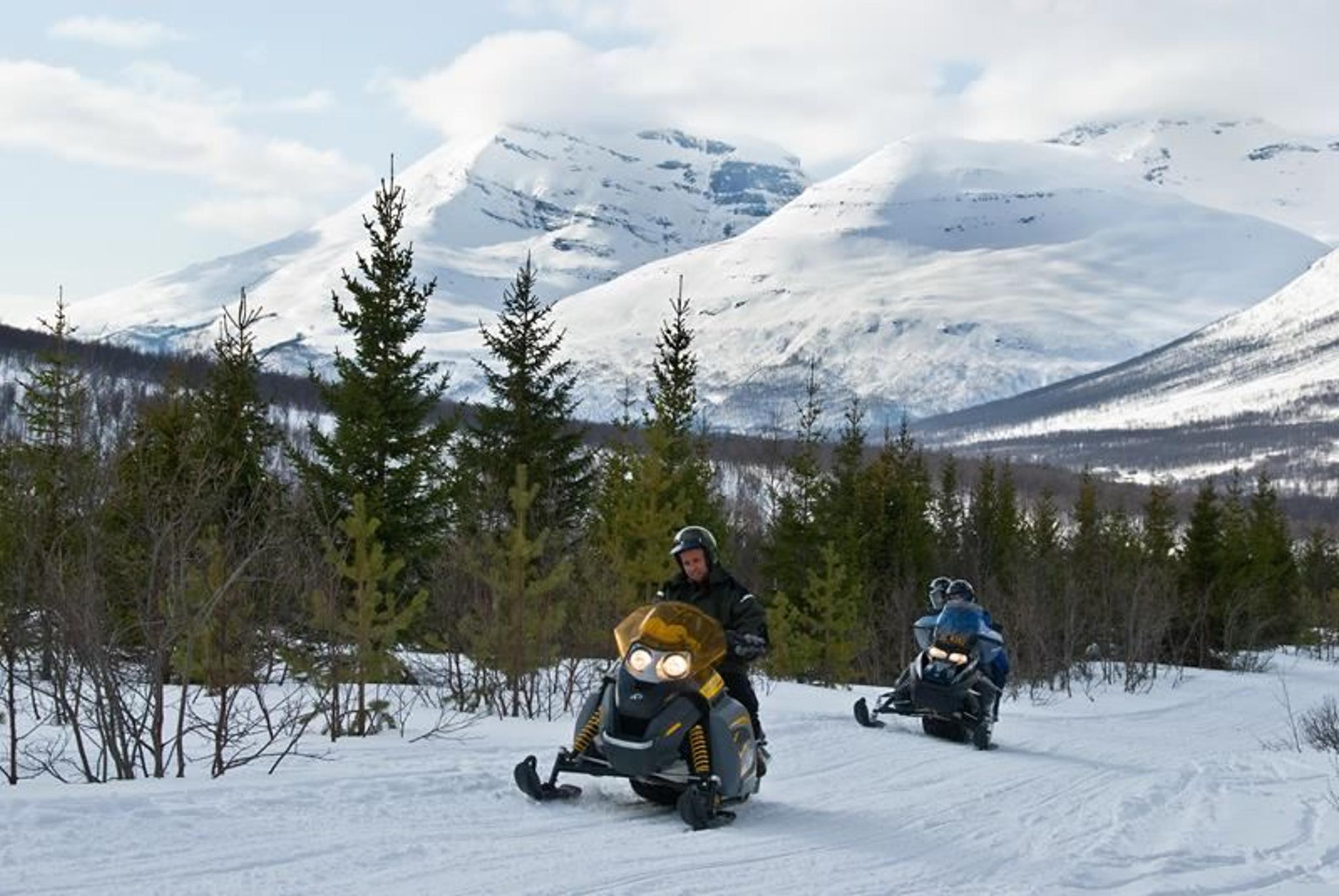 Nordlystur på snøscootersafari