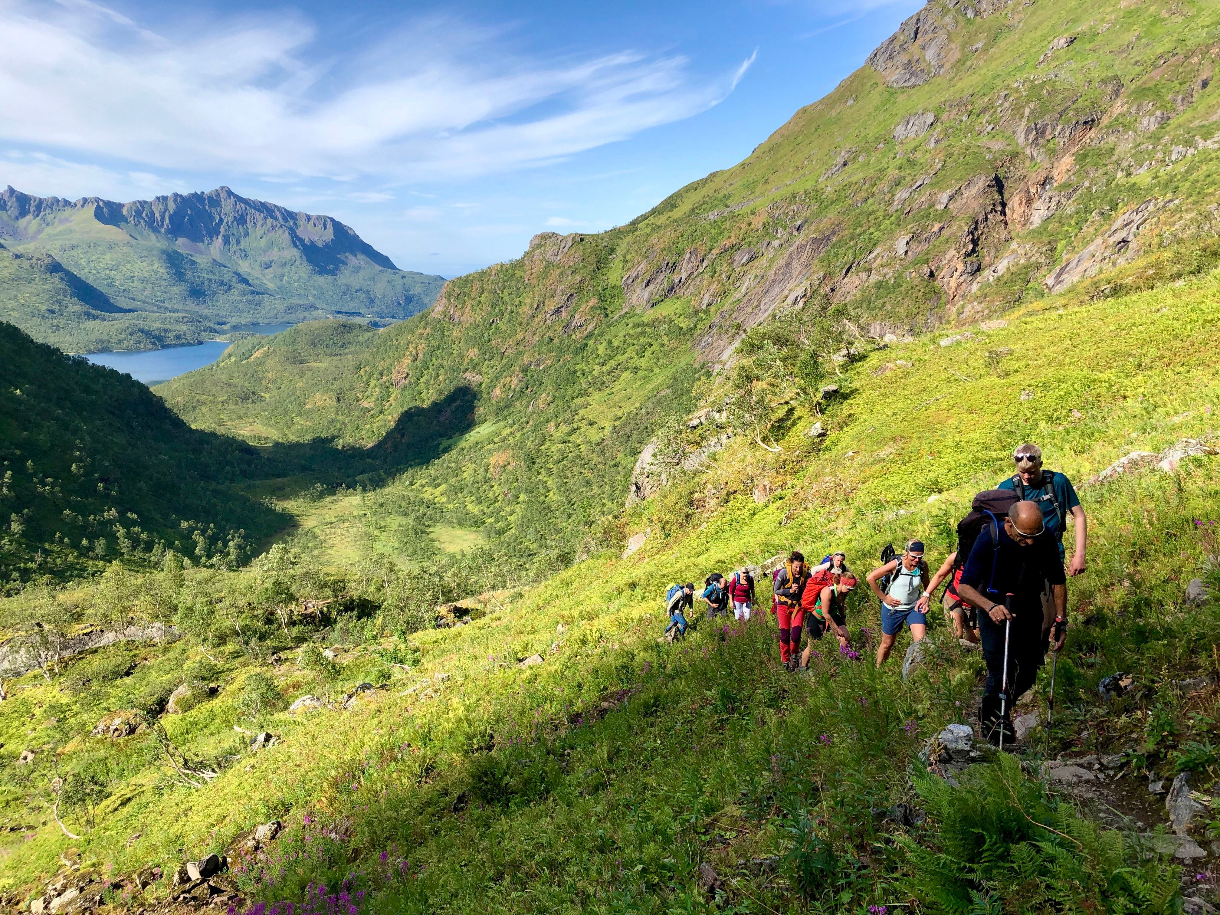 Møysaltur