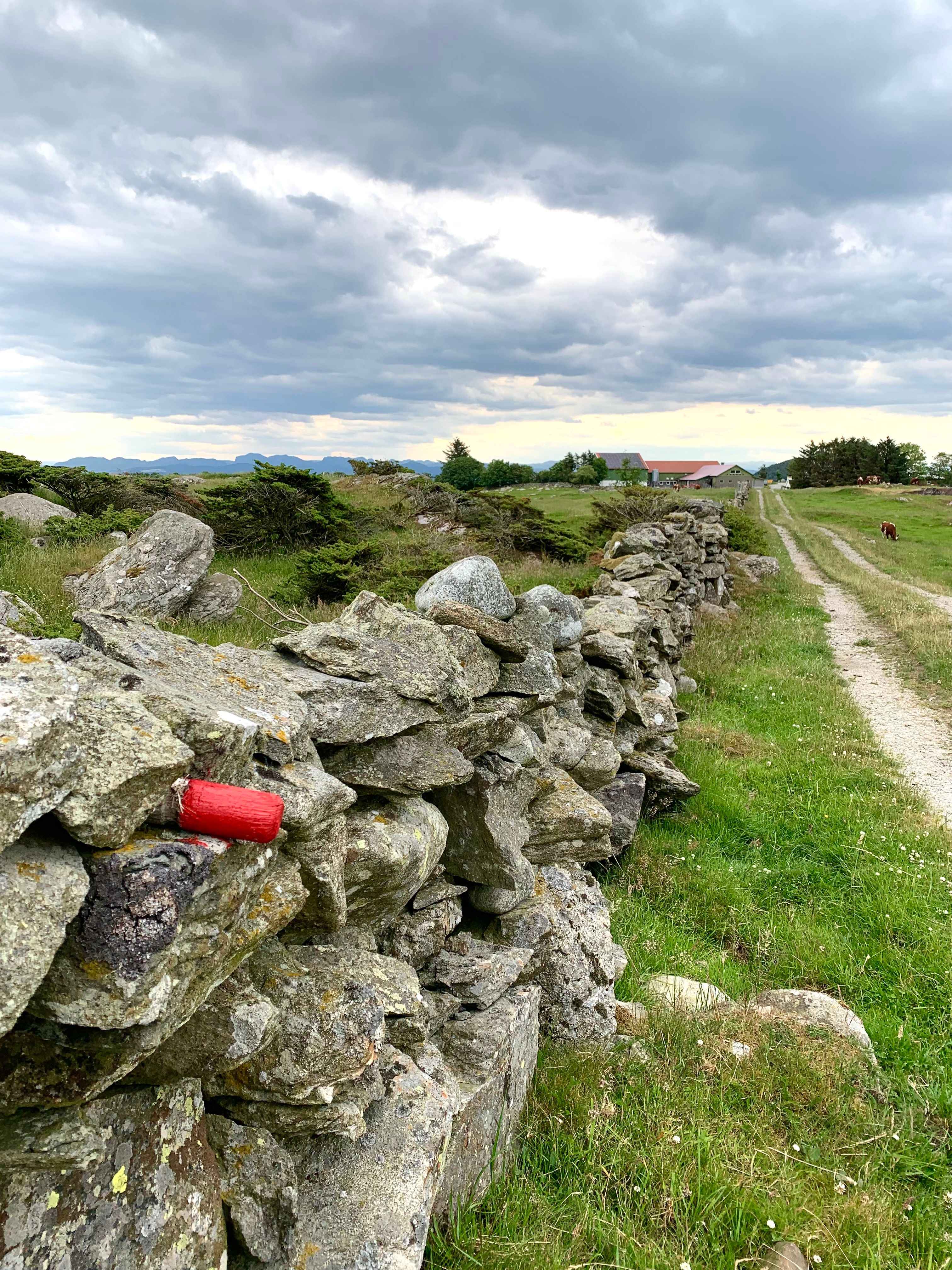 Stone fences along the path
