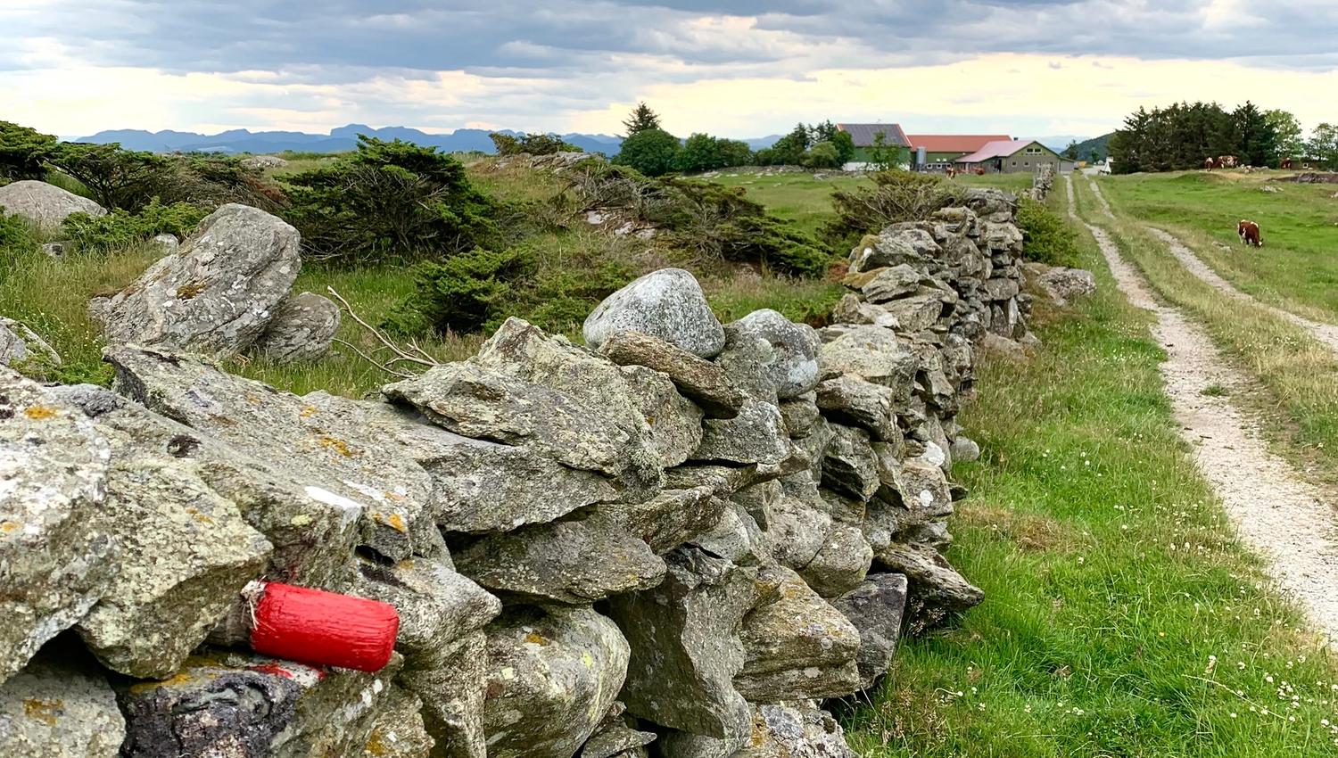 Stone fences along the path