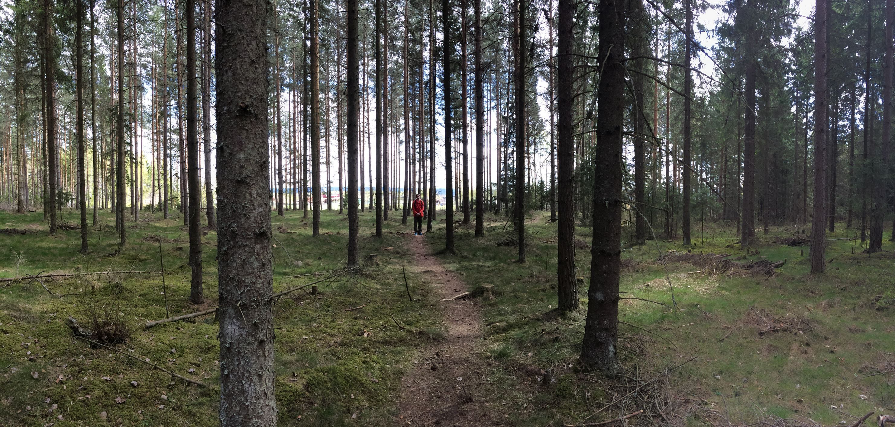 Ilsengstiene 4
