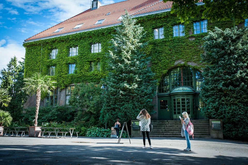 Green facade. Botanical Garden in Oslo