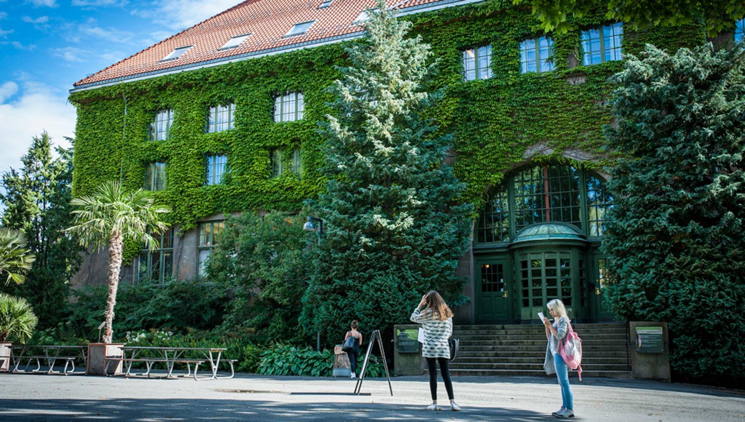 Green facade. Botanical Garden in Oslo