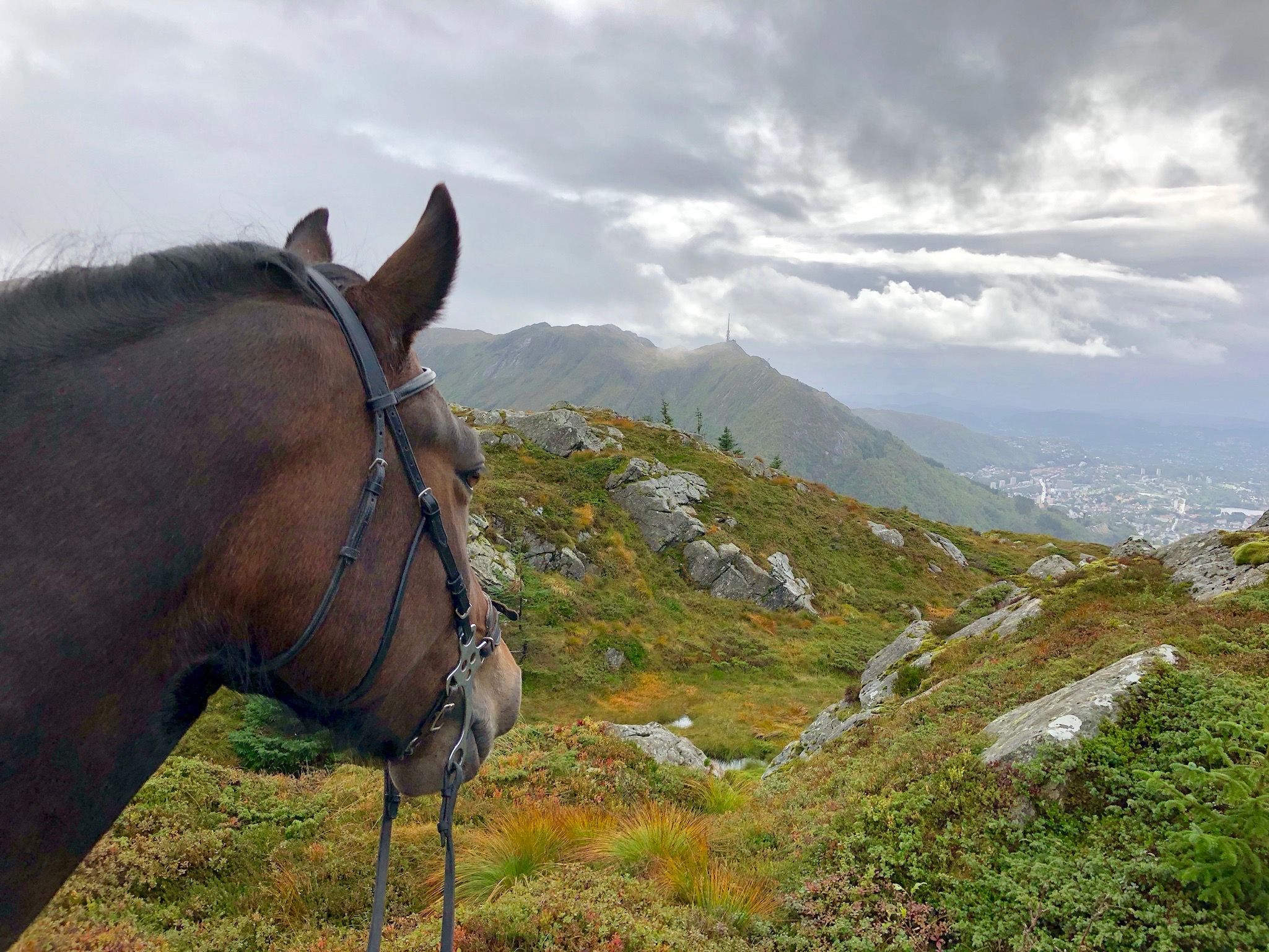Unique riding tour in the mountains surrounding Bergen city centre