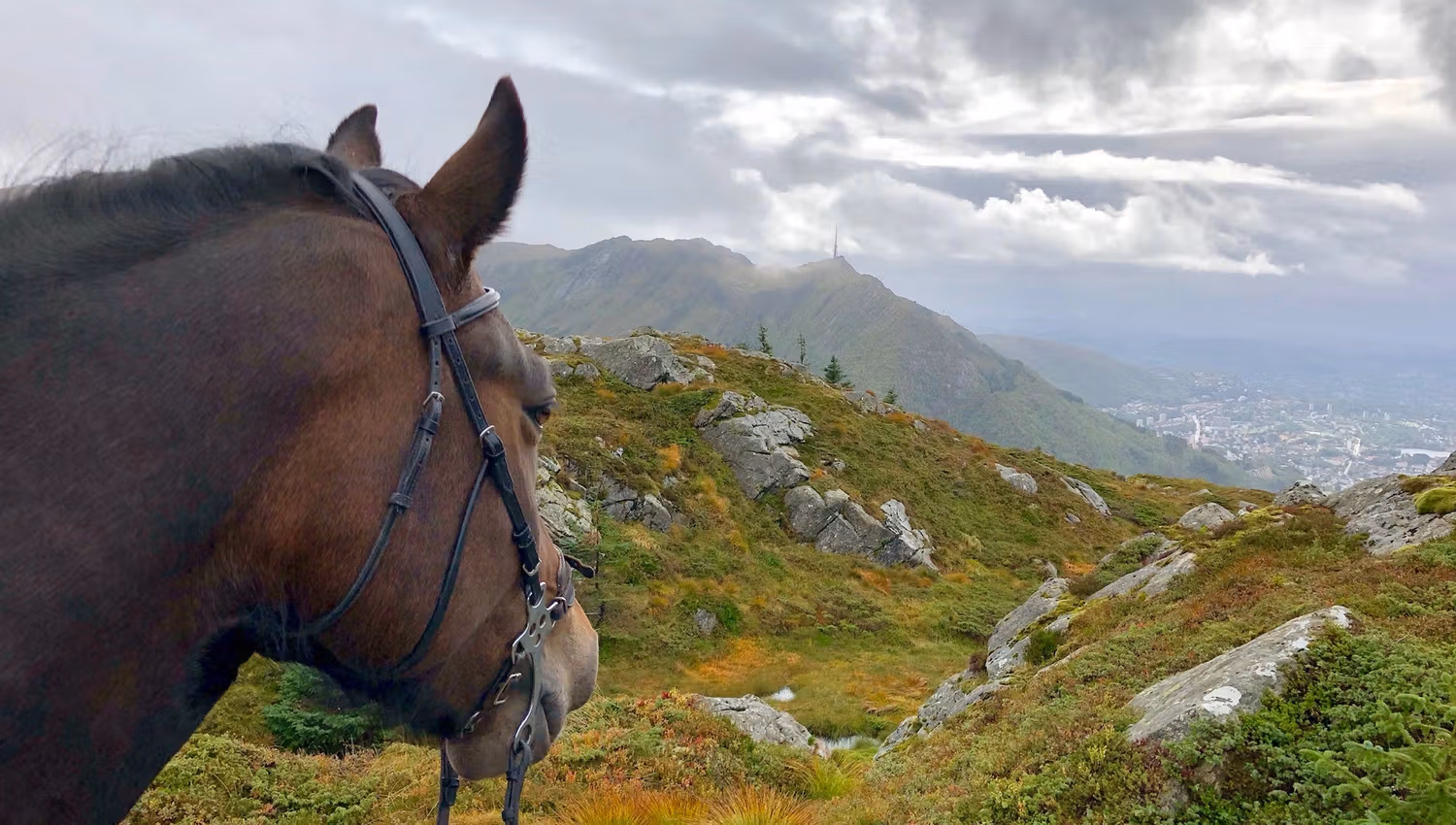 Unique riding tour in the mountains surrounding Bergen city centre