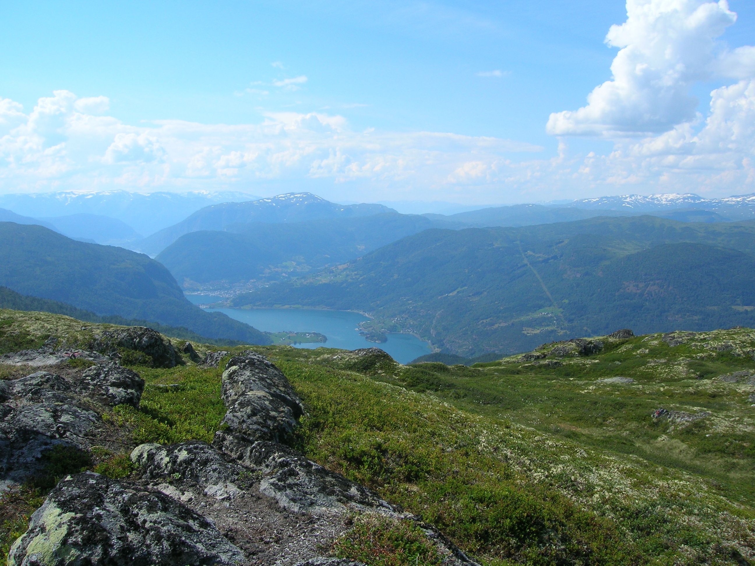 Solvorn-nipa